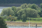 EILEAN NAN CRAOBH_5848917420_o.jpg