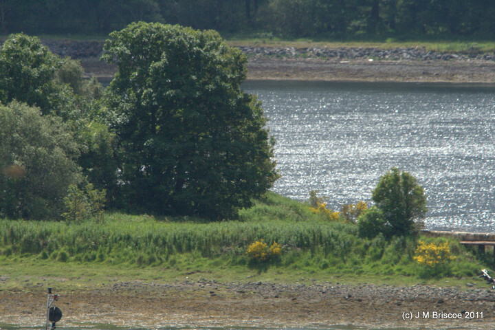 EILEAN NAN CRAOBH_5848918930_o.jpg