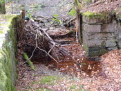DSCF0641.jpg