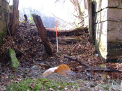 DSCF0652.jpg