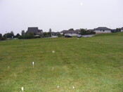 Picture 003.jpg