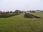 Picture 011.jpg