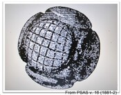 MHG4263 carved stone ball.jpg