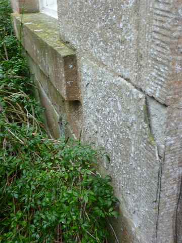 Photo 11.jpg