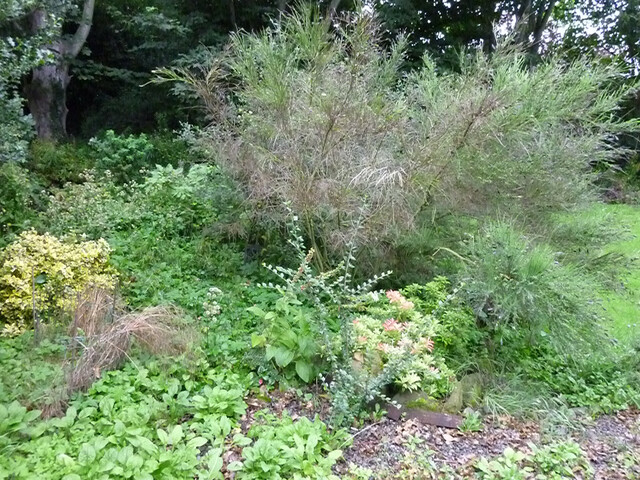 Photo 16.jpg