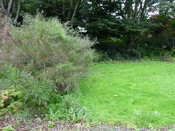 Photo 17.jpg