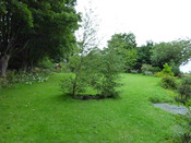 Photo 21.jpg