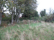 Photo 26.jpg