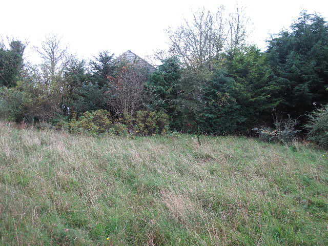 Photo 27.jpg