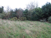 Photo 27.jpg