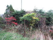 Photo 30.jpg