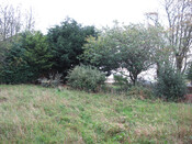 Photo 31.jpg