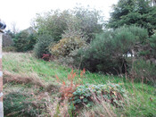 Photo 37.jpg