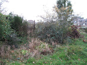 Photo 38.jpg