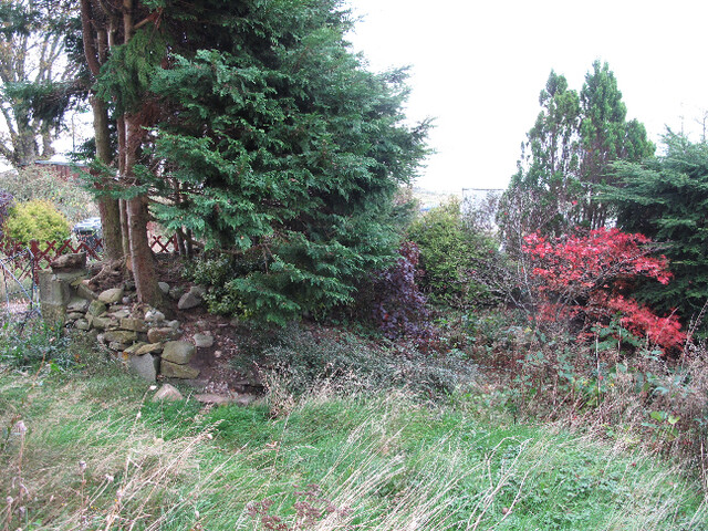 Photo 41.jpg