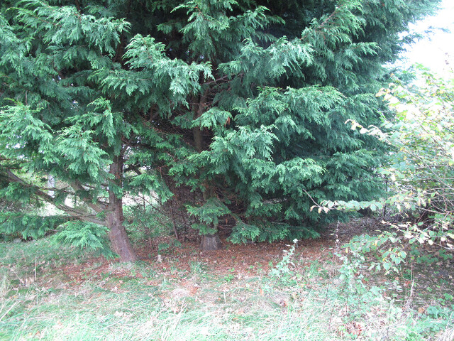 Photo 48.jpg
