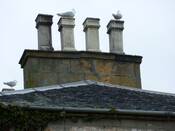 Photo 51.jpg