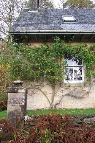 03 South Elevation.JPG