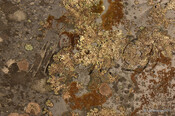 Cille Choirill Burial Ground_6312897991_m.jpg