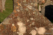 Cille Choirill Burial Ground_6312900771_m.jpg