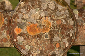 Cille Choirill Burial Ground_6313420662_m.jpg
