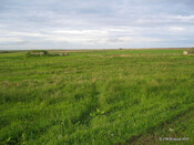 RAF Tannach WWII Chain Home Radar Station - Remote Reserve_6368726287_m.jpg