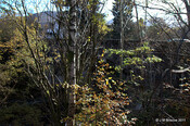 Bridge over River Roy, Roy Bridge_6323524058_m.jpg