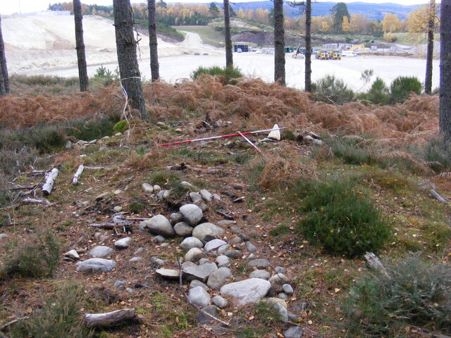 Picture 001.jpg