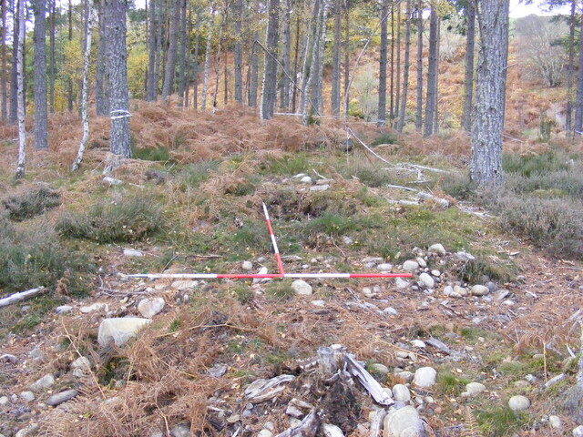 Picture 002.jpg