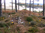 Picture 003.jpg