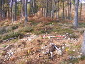 Picture 004.jpg