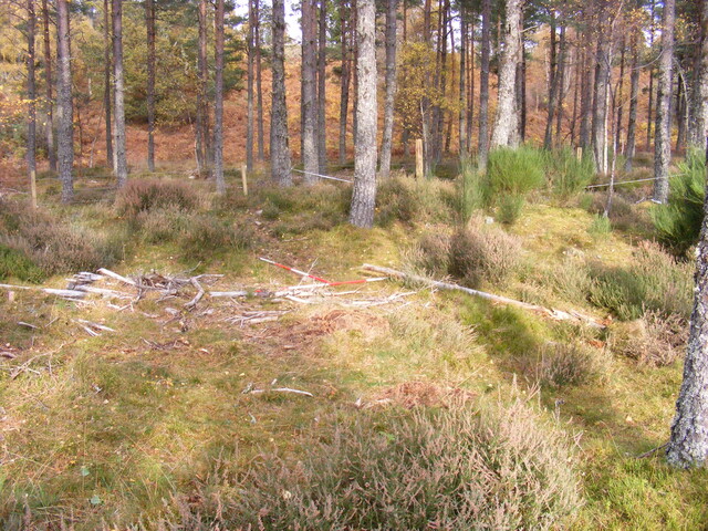 Picture 006.jpg