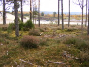 Picture 007.jpg