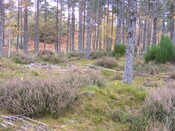 Picture 008.jpg