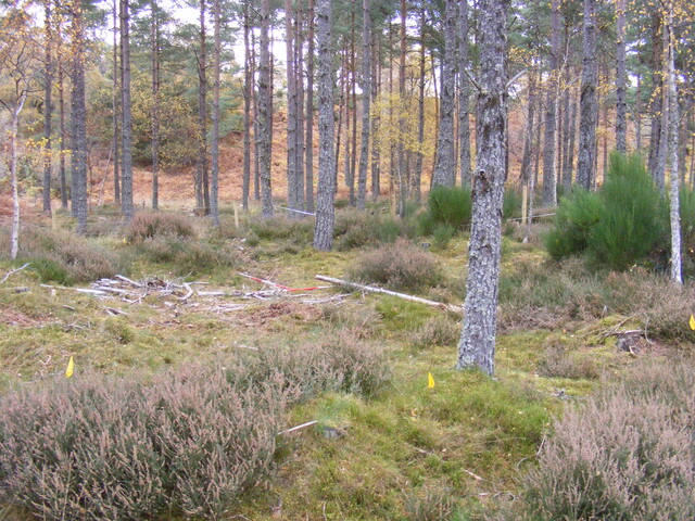 Picture 009.jpg