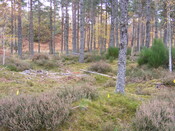 Picture 009.jpg