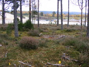 Picture 011.jpg