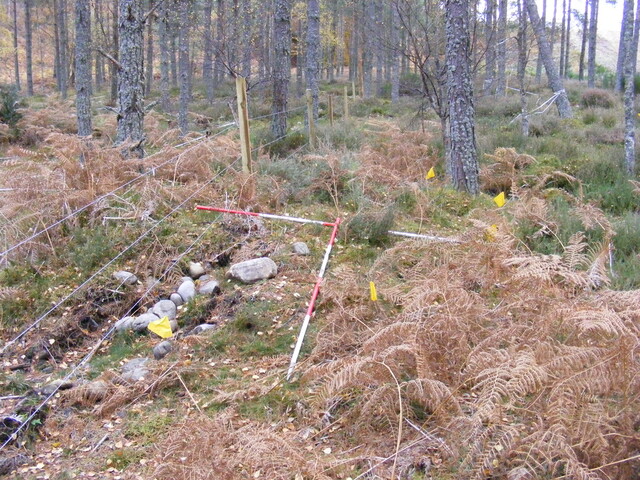 Picture 013.jpg
