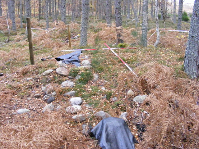 Picture 014.jpg