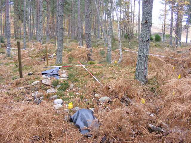 Picture 015.jpg