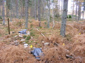 Picture 015.jpg