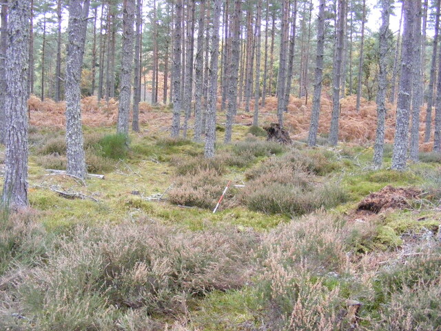 Picture 019.jpg