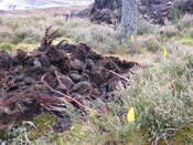 Picture 020.jpg