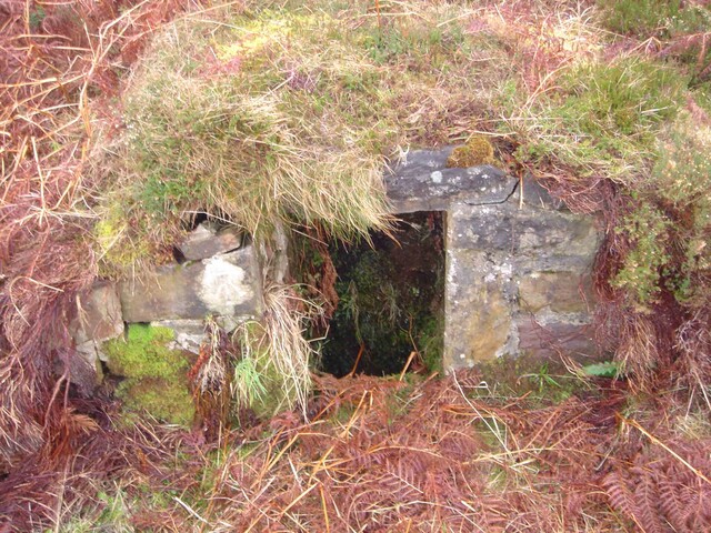 long loch well before restoration.jpg