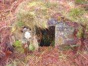 long loch well before restoration.jpg