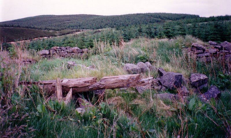 MHG15429 Glenkirk cruck building 2.JPG