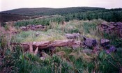 MHG15429 Glenkirk cruck building 2.JPG