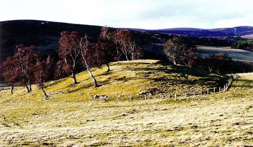 mhg2798 Raigmore mound 1.JPG