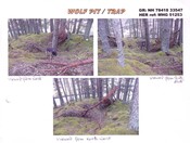 mhg51253 wolf trap.JPG