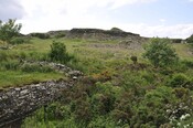 _DSC5946.jpg